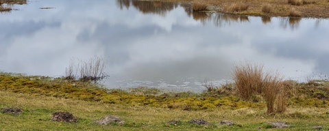 Kuinderbos