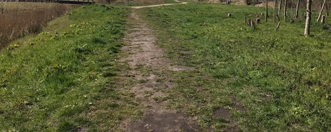 Kwispelroute (hondenwandeling) in Leidschendam