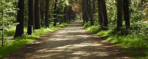 Lage Vuursche