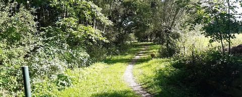 Landgoed Engelenburg / 't Hammeler