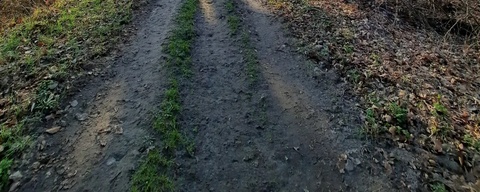 Landgoed Hagen / Kruisbergse Bossen
