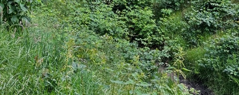 Landgoed Hoekelum