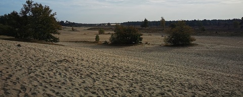 Landgoed Plantloon