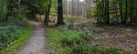 Landgoed Slangenburg