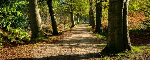Landgoed Zwaluwenburg