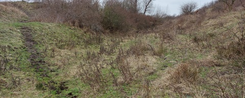 Landtong Rozenburg