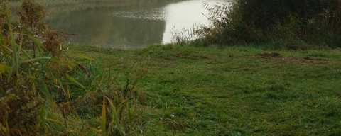 Lauwersmeer / Ballastplaatbos