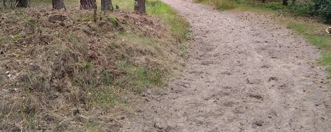 Leenderbos / Molenheide
