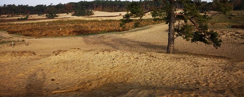 Loonse en Drunense Duinen - Noordoost