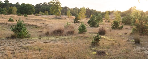 Loonse en Drunense Duinen - Zuidoost