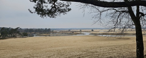 Loonse en Drunense Duinen - Zuidwest