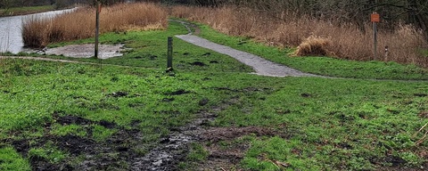 Mallebos