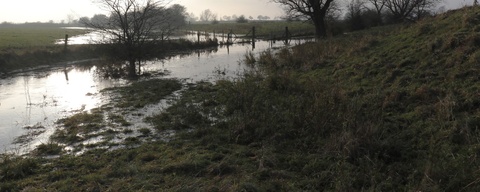 Middelwaard