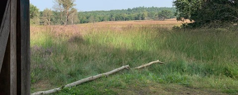 Nationaal Park De Meinweg