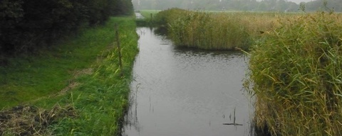 Natuurgebied Kardinge / Noorddijk