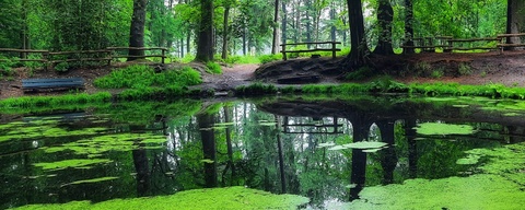 Natuurschoon Nietap
