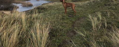 Noordduinen & Wurmenveld