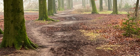 Noorderheide, Tafelbergheide en Huizer Eng