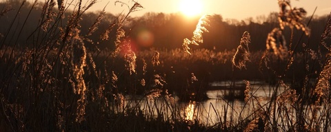 Noordpolder van Ossendrecht
