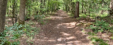 Noordsche Veld