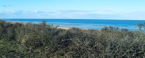 Noordzeestrand