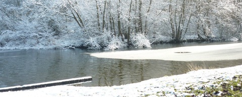 Obdammer Weel