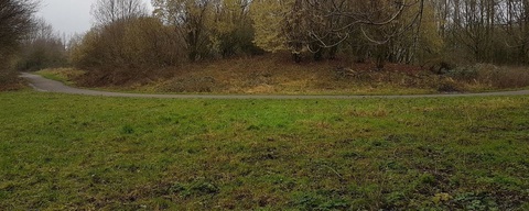 Oude Wielerbaan en loslooproute Batau