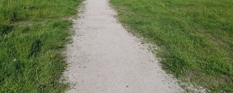 Park van Luna / Huygendijkbos