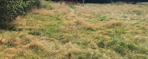 Pekelder Bos
