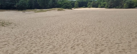 Postiljonheide / Witte Bergen
