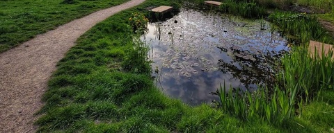 Prinsenbos