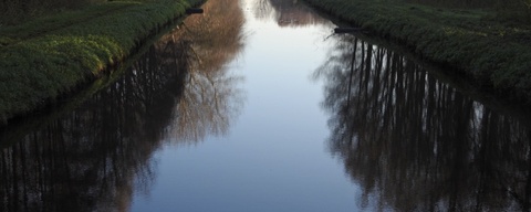 Ravense Hout