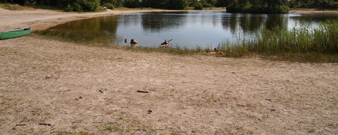 Schiermonnikoog