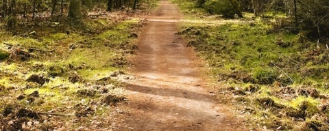 Speulderbos / Boeschoterbos