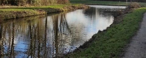 Streekbos