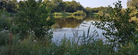 Swettepoel