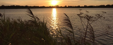 Toolenburger Plas