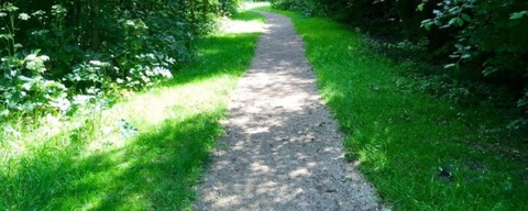 Venneperhout