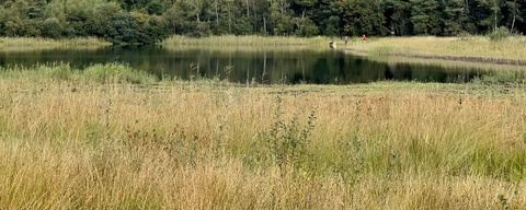Visdonk