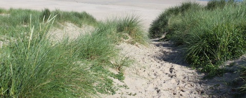 Vlieland