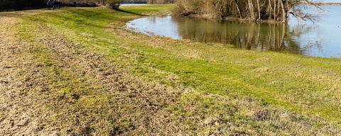 Waalstrand Zaltbommel