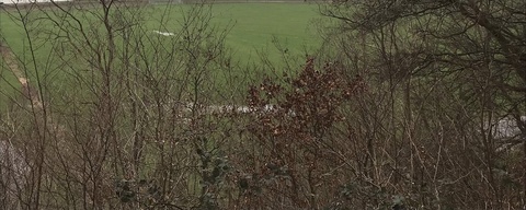 Wageningse Berg
