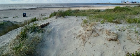 Westerzeedijk