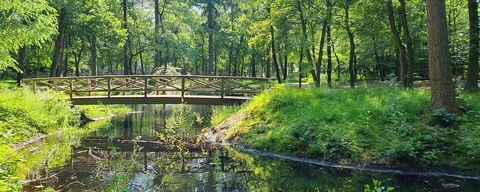 Zeisterbos