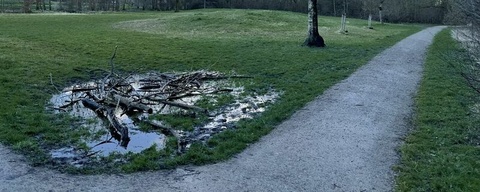 Zwettebos